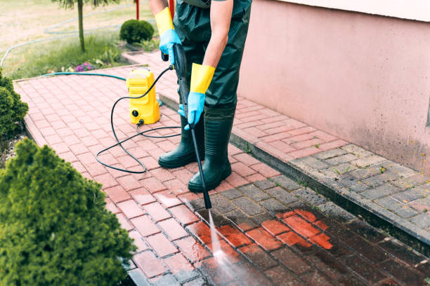 Best Building Exterior Washing  in Watertown, FL