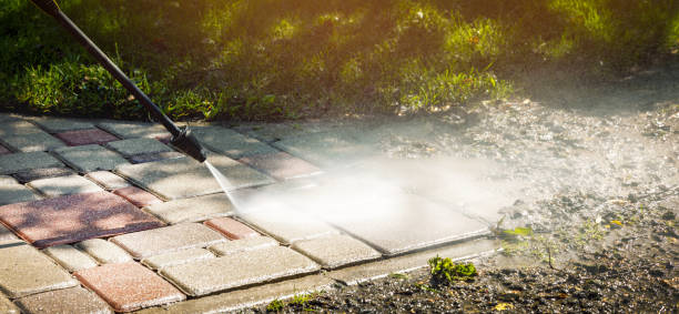 Animal Enclosure Cleaning in Watertown, FL